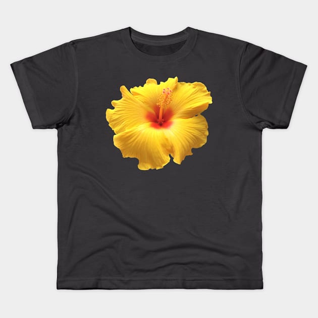 Yellow and Red Hibiscus Kids T-Shirt by StevenElliot